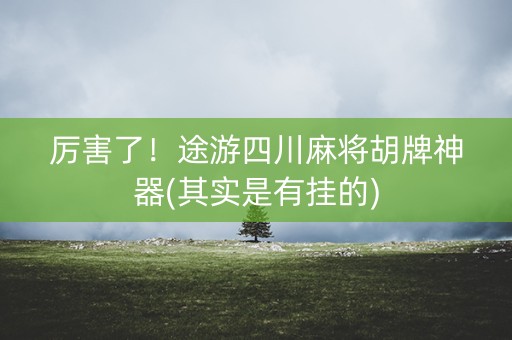厉害了！途游四川麻将胡牌神器(其实是有挂的)