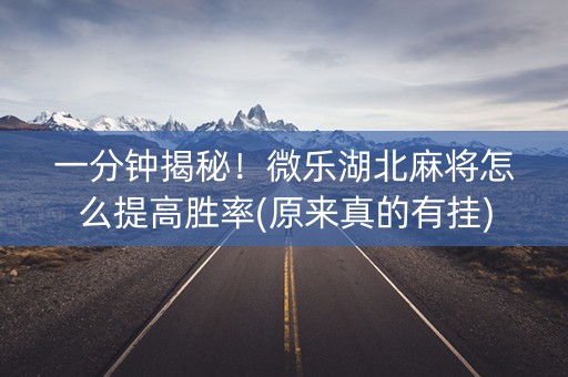 一分钟揭秘！微乐湖北麻将怎么提高胜率(原来真的有挂)