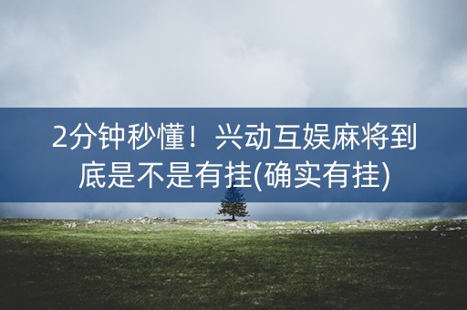 2分钟秒懂！兴动互娱麻将到底是不是有挂(确实有挂)