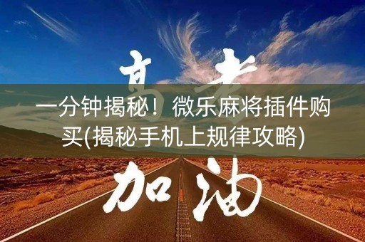 一分钟揭秘！微乐麻将插件购买(揭秘手机上规律攻略)