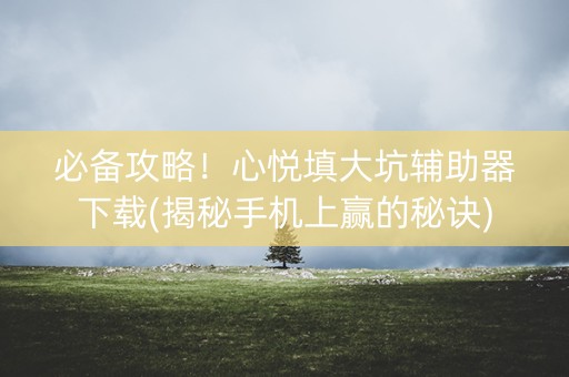 必备攻略！心悦填大坑辅助器下载(揭秘手机上赢的秘诀)