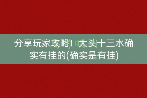 分享玩家攻略！大头十三水确实有挂的(确实是有挂)