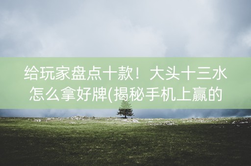 给玩家盘点十款！大头十三水怎么拿好牌(揭秘手机上赢的诀窍)