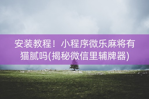 安装教程！小程序微乐麻将有猫腻吗(揭秘微信里辅牌器)