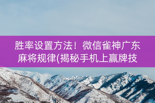 胜率设置方法！微信雀神广东麻将规律(揭秘手机上赢牌技巧)