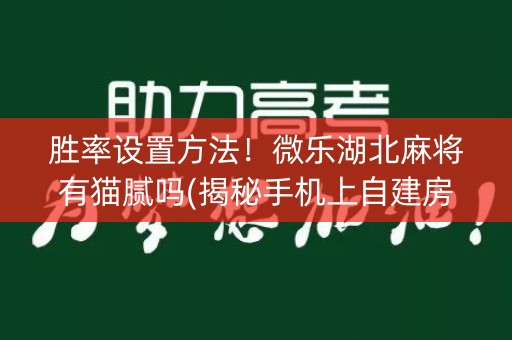 胜率设置方法！微乐湖北麻将有猫腻吗(揭秘手机上自建房怎么赢)