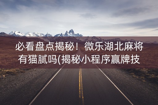 必看盘点揭秘！微乐湖北麻将有猫腻吗(揭秘小程序赢牌技巧)