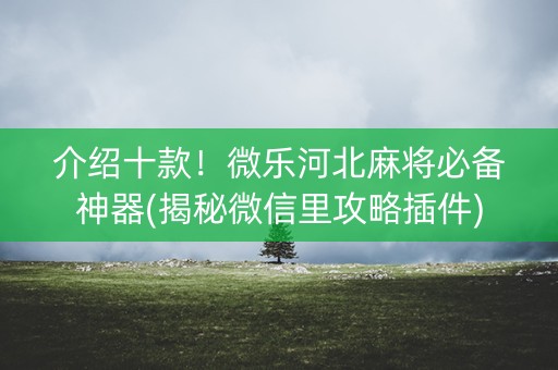 介绍十款！微乐河北麻将必备神器(揭秘微信里攻略插件)