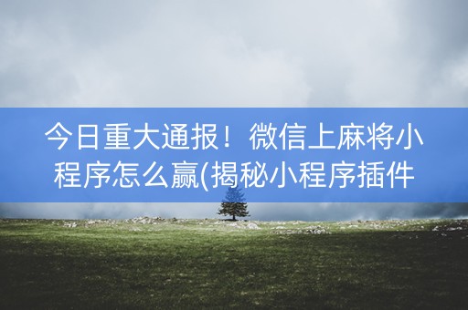 今日重大通报！微信上麻将小程序怎么赢(揭秘小程序插件购买)