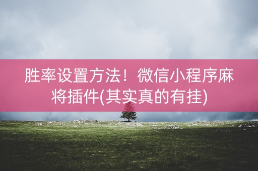 胜率设置方法！微信小程序麻将插件(其实真的有挂)