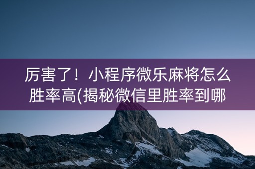 厉害了！小程序微乐麻将怎么胜率高(揭秘微信里胜率到哪调)