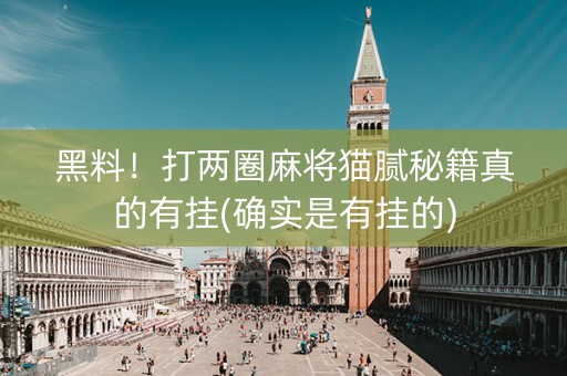 黑料！打两圈麻将猫腻秘籍真的有挂(确实是有挂的)