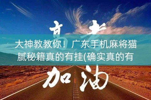 大神教教你！广东手机麻将猫腻秘籍真的有挂(确实真的有挂)