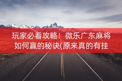 玩家必看攻略！微乐广东麻将如何赢的秘诀(原来真的有挂)