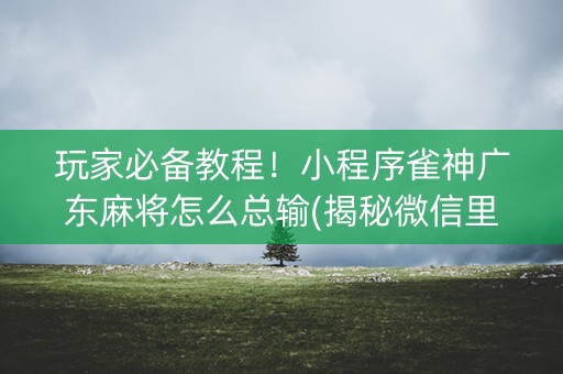 玩家必备教程！小程序雀神广东麻将怎么总输(揭秘微信里助赢软件)