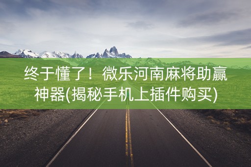 终于懂了！微乐河南麻将助赢神器(揭秘手机上插件购买)