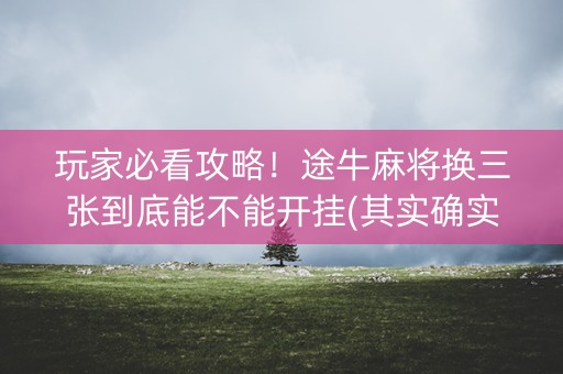 玩家必看攻略！途牛麻将换三张到底能不能开挂(其实确实有挂)