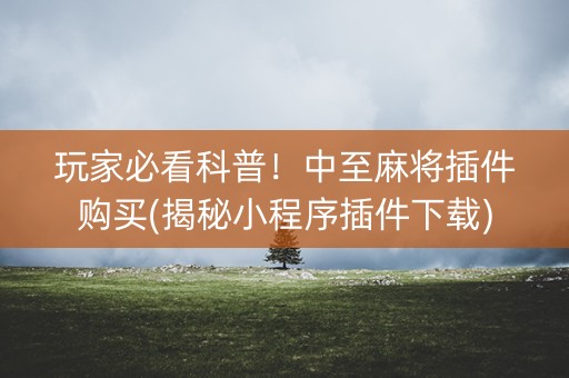 玩家必看科普！中至麻将插件购买(揭秘小程序插件下载)