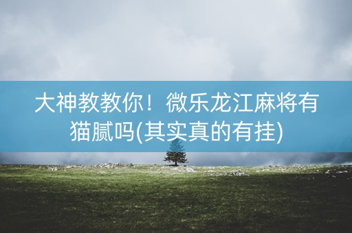 大神教教你！微乐龙江麻将有猫腻吗(其实真的有挂)