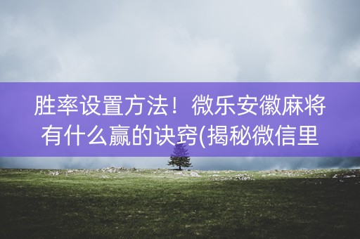 胜率设置方法！微乐安徽麻将有什么赢的诀窍(揭秘微信里助攻神器)