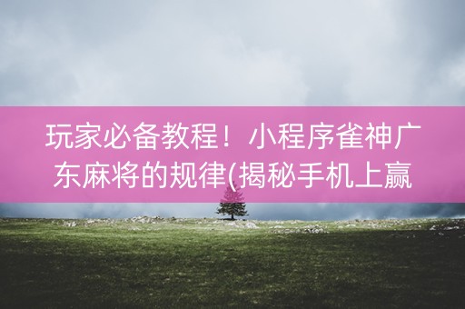 玩家必备教程！小程序雀神广东麻将的规律(揭秘手机上赢的诀窍)