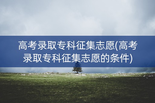高考录取专科征集志愿(高考录取专科征集志愿的条件)