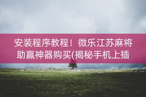 安装程序教程！微乐江苏麻将助赢神器购买(揭秘手机上插件购买)