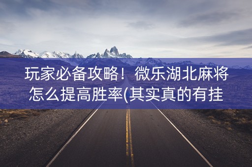 玩家必备攻略！微乐湖北麻将怎么提高胜率(其实真的有挂)