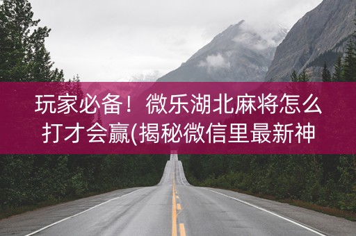 玩家必备！微乐湖北麻将怎么打才会赢(揭秘微信里最新神器下载)