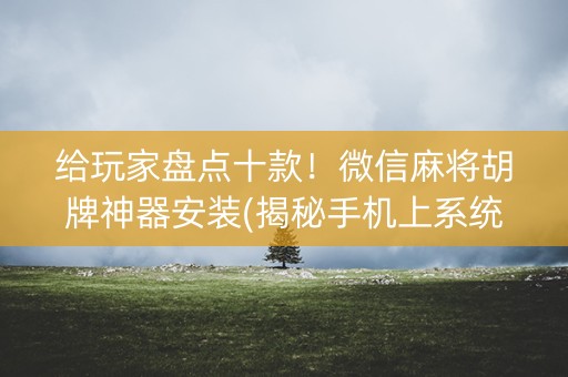 给玩家盘点十款！微信麻将胡牌神器安装(揭秘手机上系统发好牌)