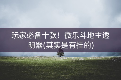 玩家必备十款！微乐斗地主透明器(其实是有挂的)