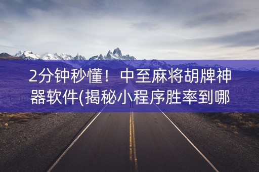 2分钟秒懂！中至麻将胡牌神器软件(揭秘小程序胜率到哪调)