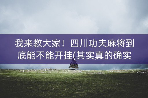 我来教大家！四川功夫麻将到底能不能开挂(其实真的确实有挂)