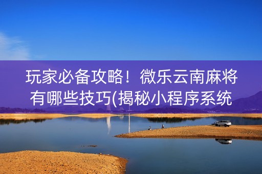 玩家必备攻略！微乐云南麻将有哪些技巧(揭秘小程序系统发好牌)
