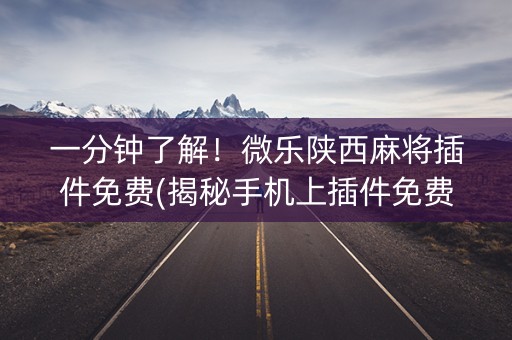 一分钟了解！微乐陕西麻将插件免费(揭秘手机上插件免费)