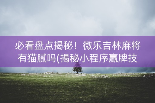 必看盘点揭秘！微乐吉林麻将有猫腻吗(揭秘小程序赢牌技巧)