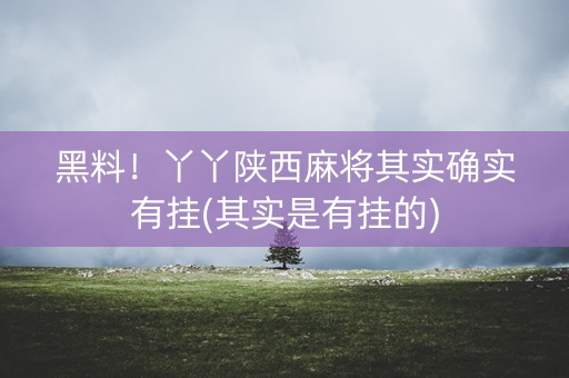 黑料！丫丫陕西麻将其实确实有挂(其实是有挂的)