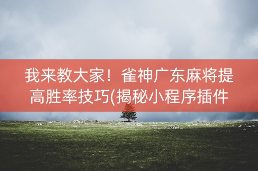 我来教大家！雀神广东麻将提高胜率技巧(揭秘小程序插件购买)