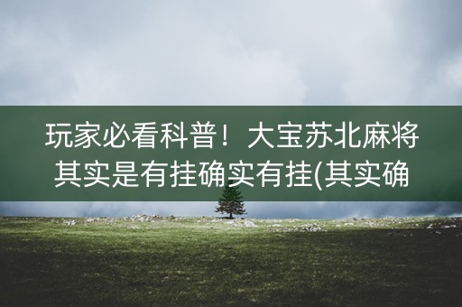 玩家必看科普！大宝苏北麻将其实是有挂确实有挂(其实确实有挂)