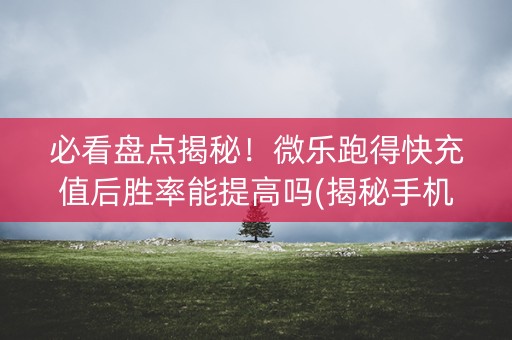 必看盘点揭秘！微乐跑得快充值后胜率能提高吗(揭秘手机上专用神器下载)