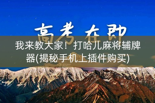 我来教大家！打哈儿麻将辅牌器(揭秘手机上插件购买)