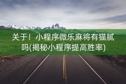 关于！小程序微乐麻将有猫腻吗(揭秘小程序提高胜率)