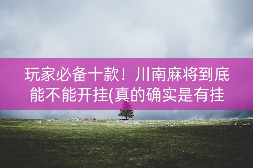 玩家必备十款！川南麻将到底能不能开挂(真的确实是有挂)