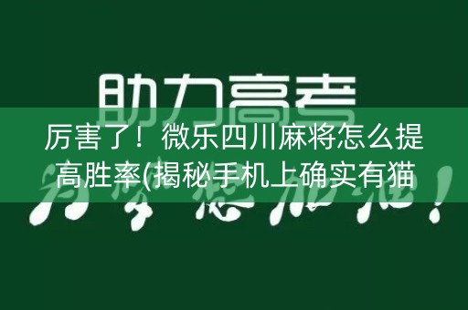 厉害了！微乐四川麻将怎么提高胜率(揭秘手机上确实有猫腻)