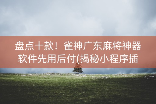 盘点十款！雀神广东麻将神器软件先用后付(揭秘小程序插件下载)