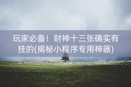 玩家必备！财神十三张确实有挂的(揭秘小程序专用神器)
