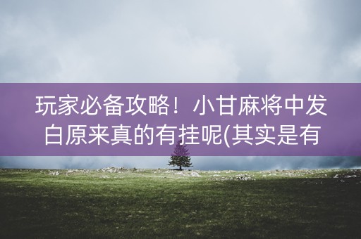 玩家必备攻略！小甘麻将中发白原来真的有挂呢(其实是有挂确实有挂)