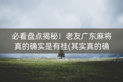 必看盘点揭秘！老友广东麻将真的确实是有挂(其实真的确实有挂)