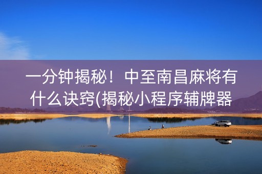一分钟揭秘！中至南昌麻将有什么诀窍(揭秘小程序辅牌器)