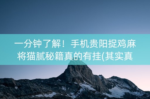 一分钟了解！手机贵阳捉鸡麻将猫腻秘籍真的有挂(其实真的有挂)